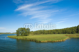Naklejki Shore of the lake