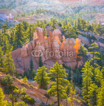 Fototapety beautiful landscape in Bryce Canyon with magnificent Stone forma