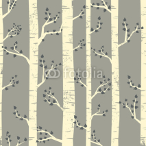 Fototapety Birch Trees Background