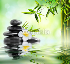 Obrazy i plakaty spa massage treatment in garden with frangipani and bamboo