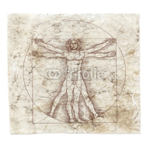 Obrazy i plakaty Leonardo da Vinci