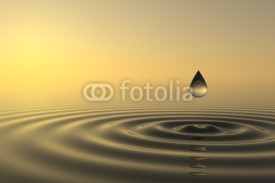 Obrazy i plakaty Zen drop falls into the water