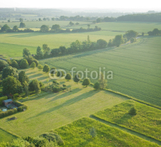 Obrazy i plakaty view over the early summer green fields