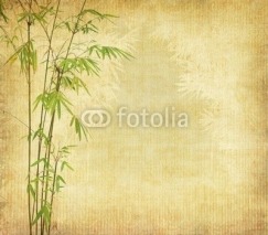Fototapety bamboo on old grunge antique paper texture