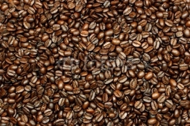 Naklejki fresh coffee beans