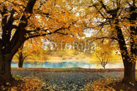 Fototapety autumn park with yellow leaves, Indian summer
