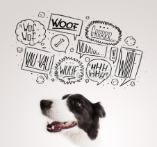 Obrazy i plakaty Cute dog with barking bubbles
