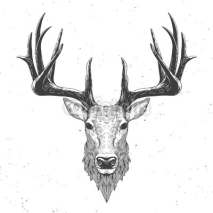 Obrazy i plakaty deer head on white