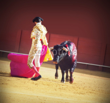 Naklejki Torero with bull in the bullfighting arena in Spain