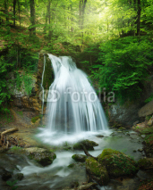 Obrazy i plakaty forest waterfall