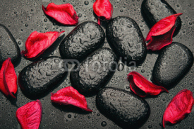Naklejki Tło SPA, czarne kamienie i czerwone płatki z kropelkami wody