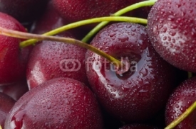 Fototapety Sweet cherry
