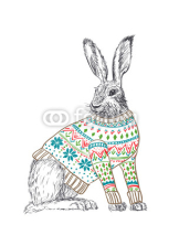 Fototapety Rabbit in sweater