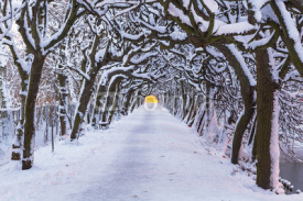 Fototapety Winter scenery in snowy park of Gdansk, Poland