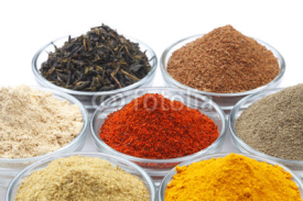 Fototapety Variety of Raw Authentic Indian Spice Powder