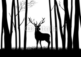 Naklejki Silhouette of a reindeer in the woods