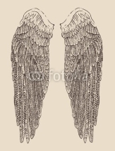 Obrazy i plakaty angel wings illustration, engraved style