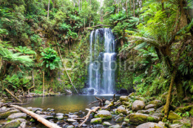 Fototapety waterfall Tasmania