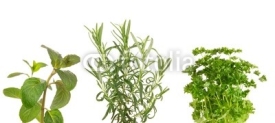 Naklejki Fresh herbs on white background