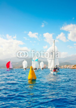 Obrazy i plakaty J24 Sailing Regatta in Greece
