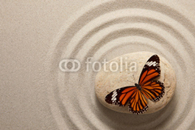 Naklejki Zen rock with butterfly