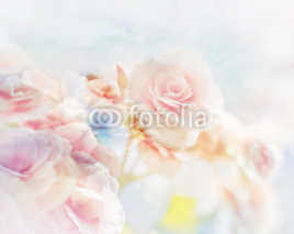 Naklejki Romantic Roses in vintage style