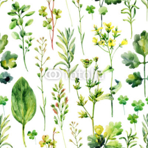 Fototapety Watercolor meadow weeds and herbs seamless pattern