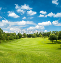 Naklejki green golf field and blue cloudy sky