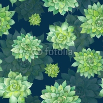 Fototapety Watercolor Succulent Pattern on Blue Background