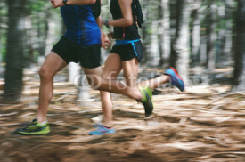 Naklejki motion blur forest trail run