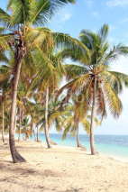 Naklejki Dominican beach