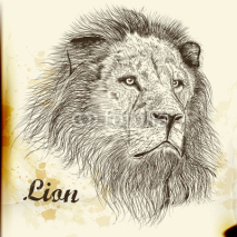 Naklejki Hand drawn vector  portrait of lion in vintage style