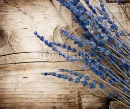 Fototapety Lavender over wood background.With copy-space