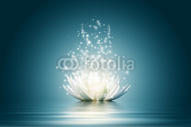 Naklejki Lotus flower