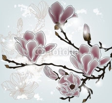 Fototapety magnolia branch