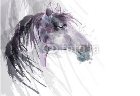Obrazy i plakaty Horse head watercolor painting