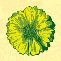 Naklejki Yellow flower in the abstract background