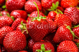 Naklejki Fresh Strawberry Background