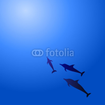 Naklejki Dolphins in water