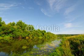 Naklejki River landscape