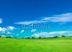Fototapety Grass Fields Of Green