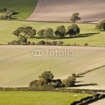 Fototapety South Downs patchwork fields