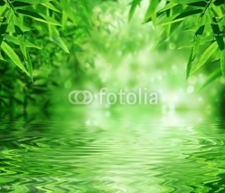 Fototapety Zen Bamboo Forest,sun and water.