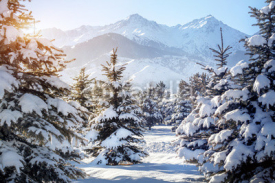 Naklejki Winter mountain scenery