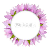 Fototapety Magnolia With Circle