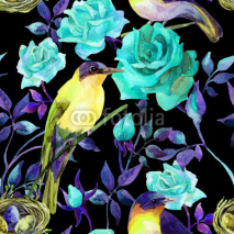 Obrazy i plakaty Watercolor birds on the blue roses