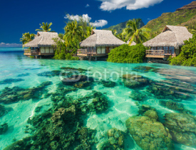 Naklejki Beautiful above and underwater landscape of a tropical resort