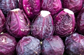 Naklejki Purple cabbage