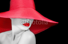 Naklejki face of a beautiful woman in hat