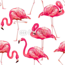 Obrazy i plakaty Tropical Bird Flamingo Background - Seamless pattern vector 